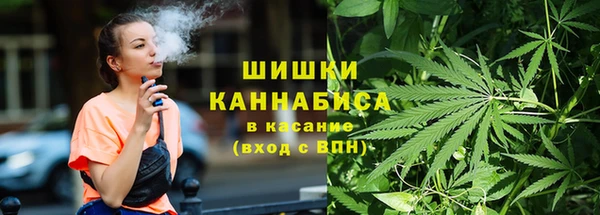 шишки Няндома