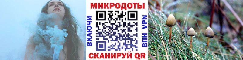 Псилоцибиновые грибы MAGIC MUSHROOMS цена Сегежа